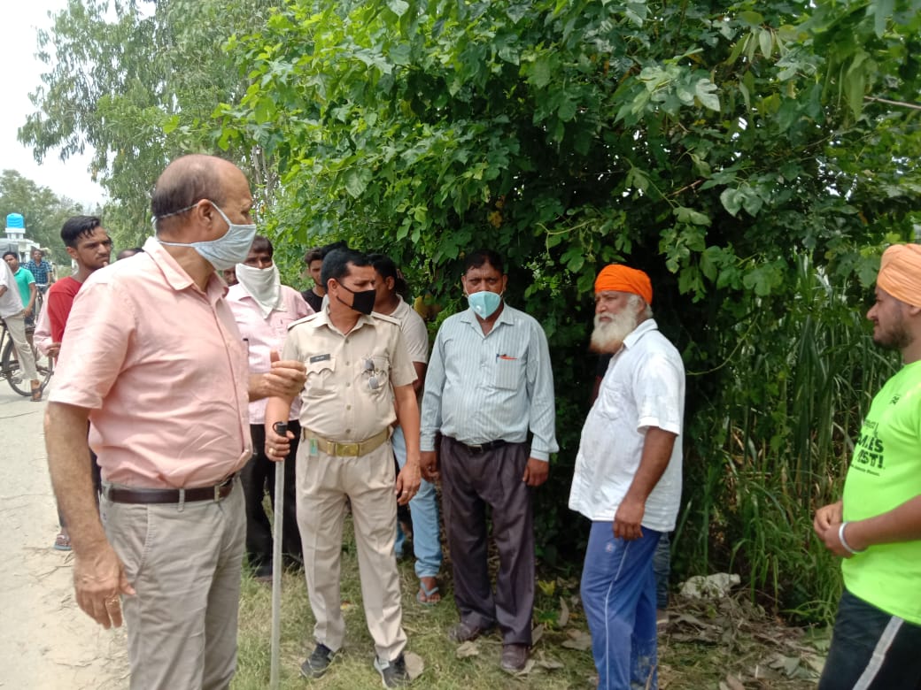 tiger enters farm in village in pilibhit