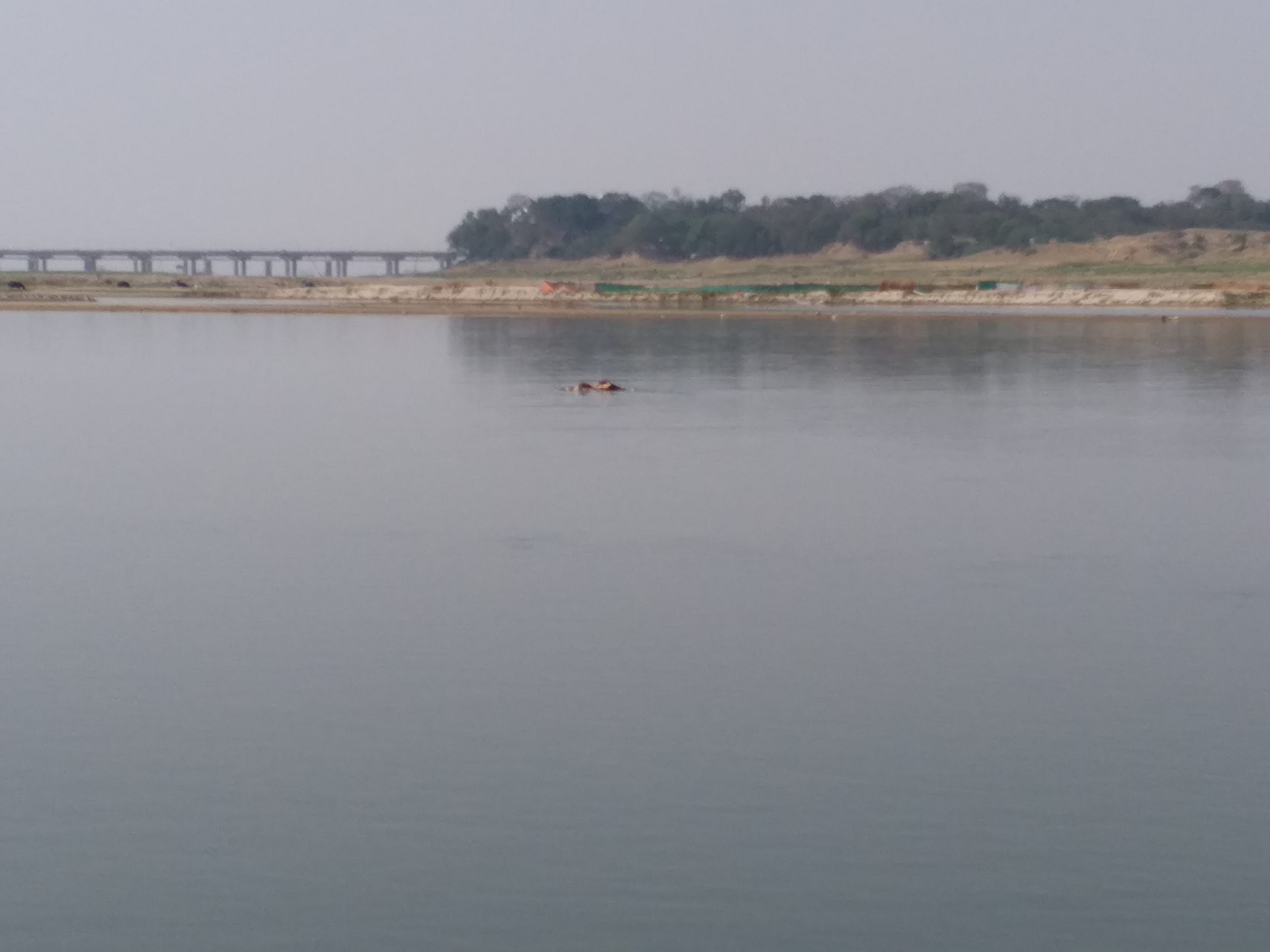 Bodies in ganga