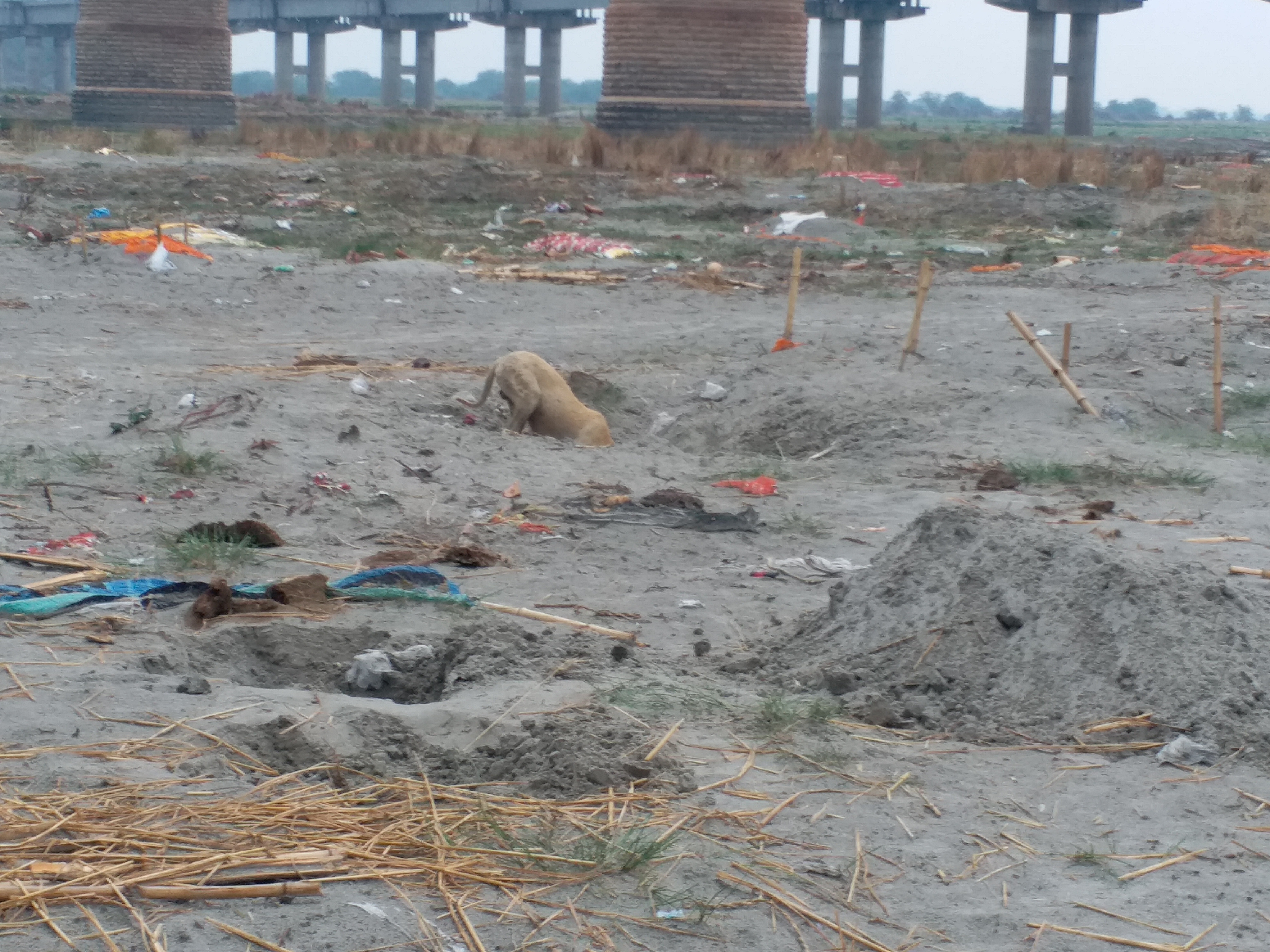 soil put on dead bodies in prayagraj