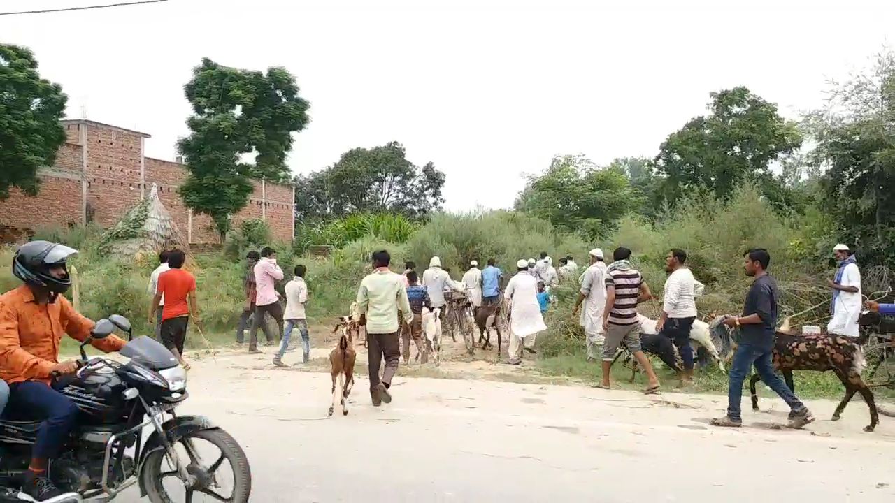 police crackdown on goat buyers and sellers in rampur uttar pradesh