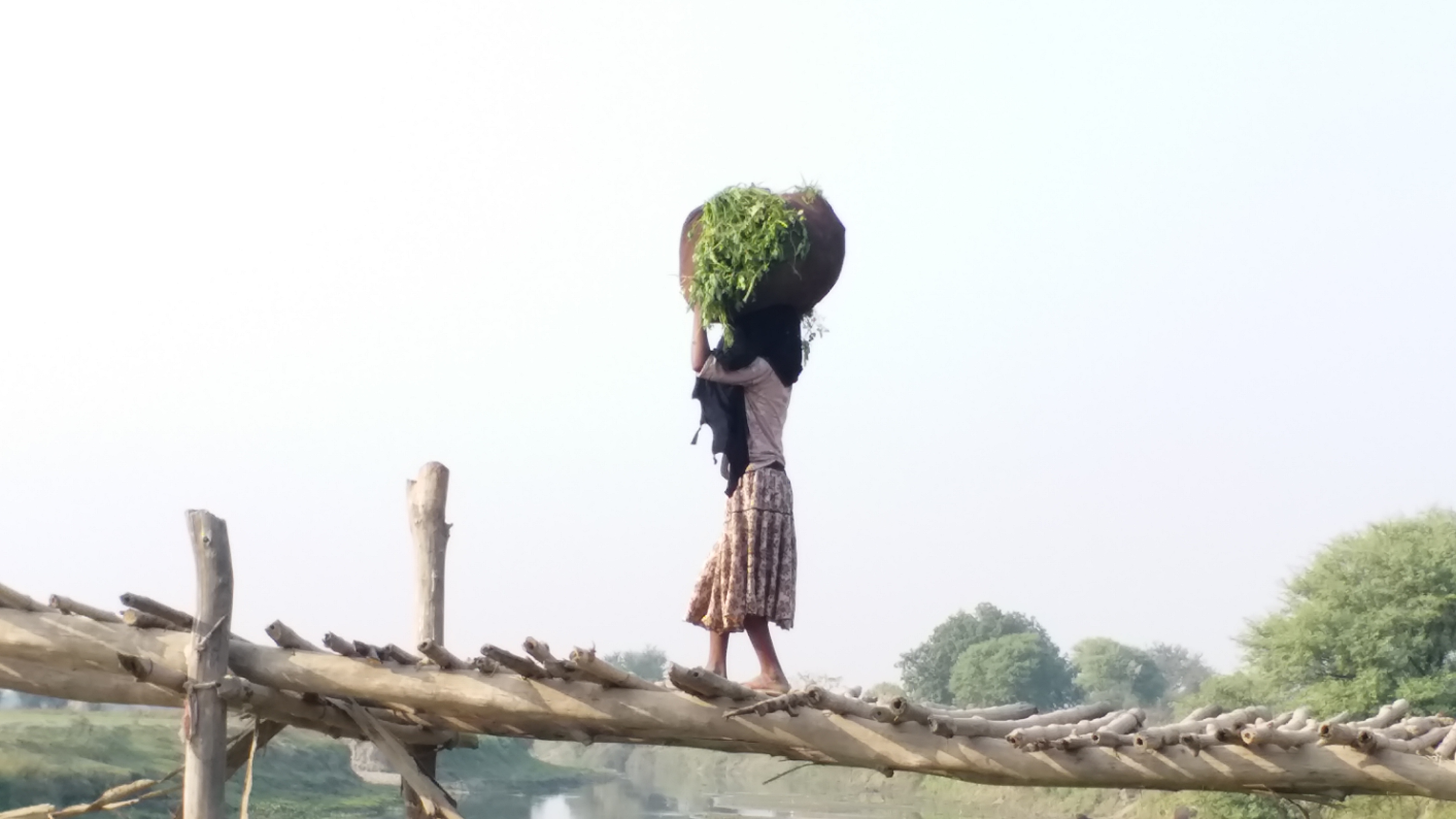 सरकारी दावों की पोल खोलती इस गांव की ये तस्वीर.