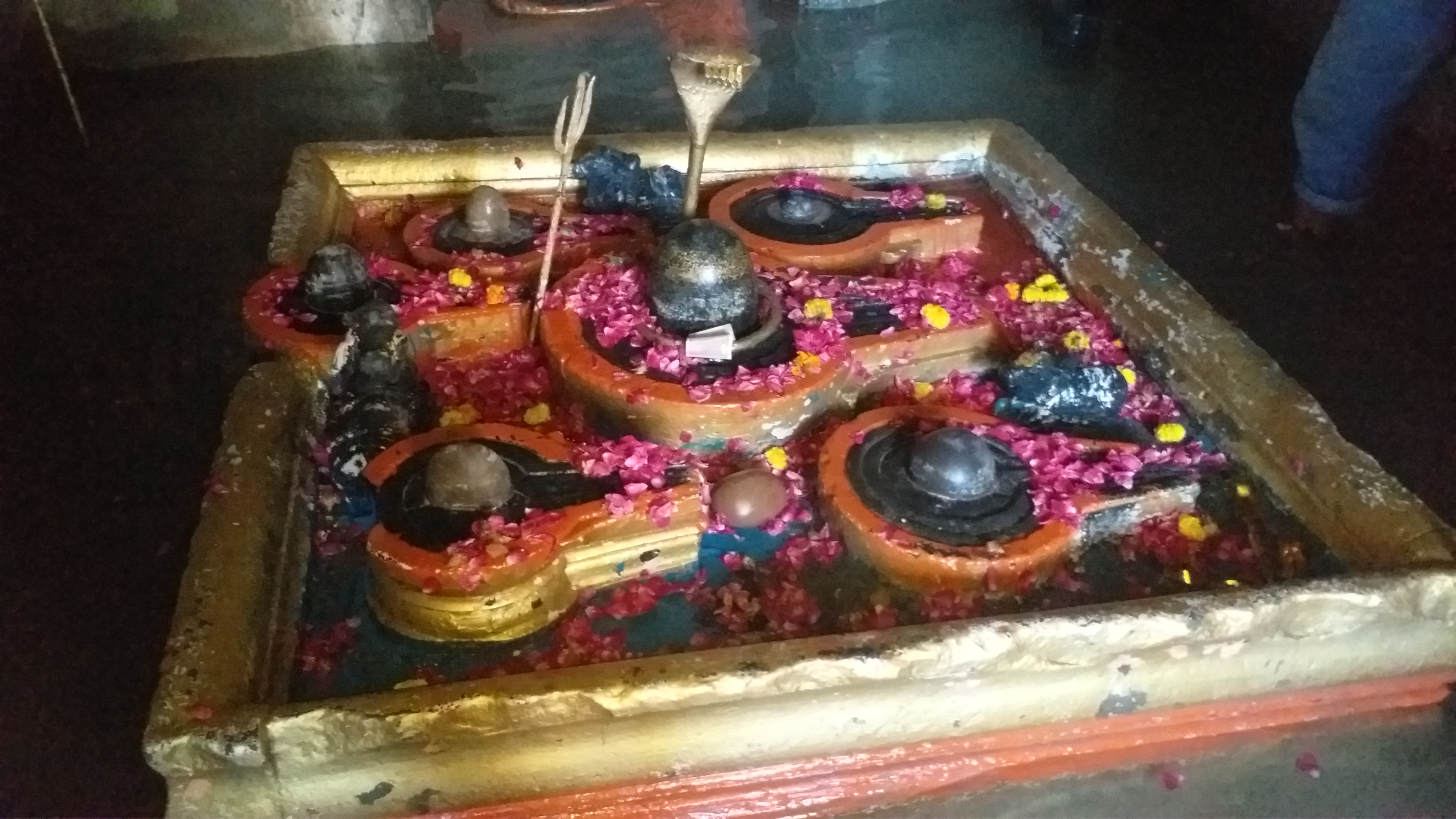 रत्नेश्वर महादेव मंदिर का गर्भगृह.