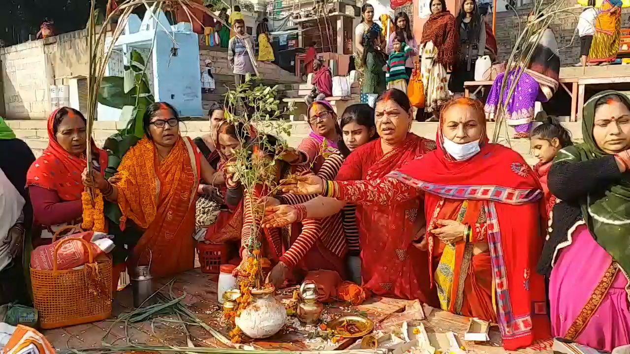 शालिग्राम और तुलसी विवाह हुआ संपन्न.