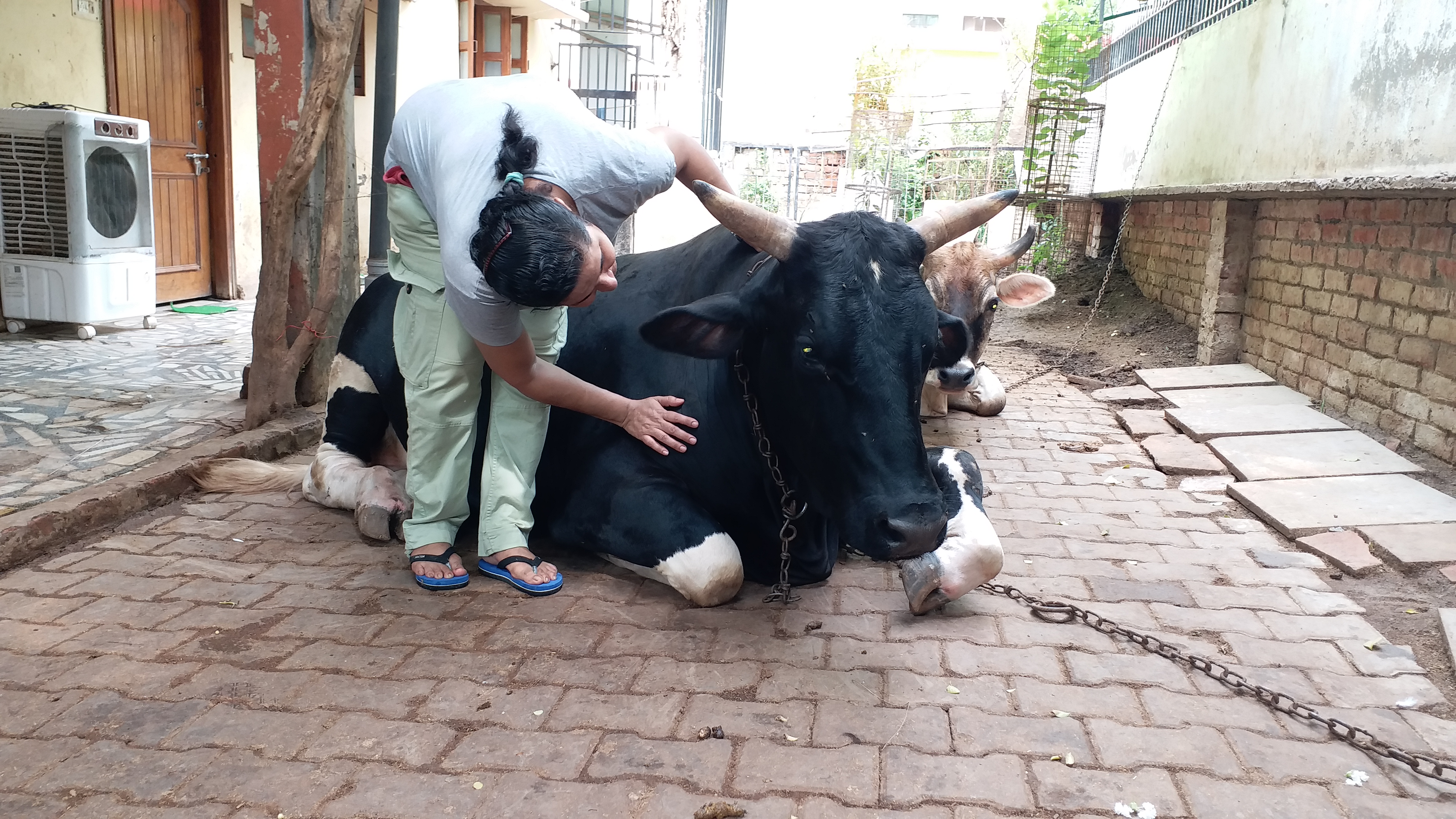 varanasi zoo house