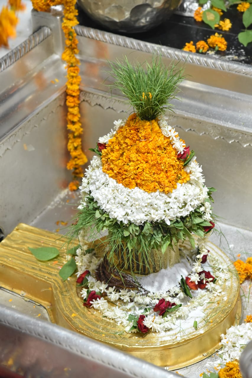 baba vishwanath decorated with tricolor