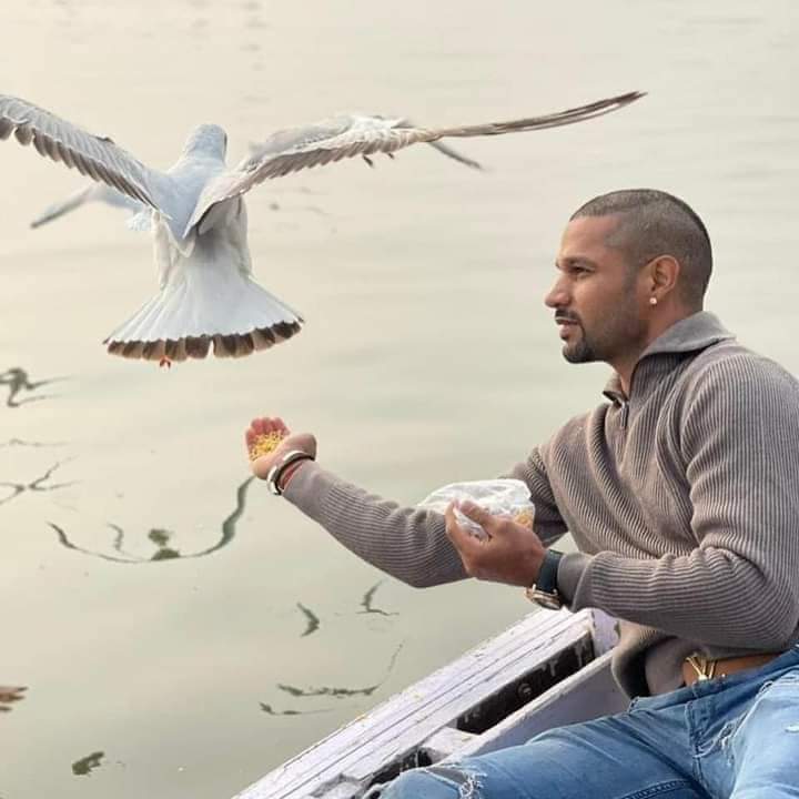 Shikhar Dhawan fed the birds