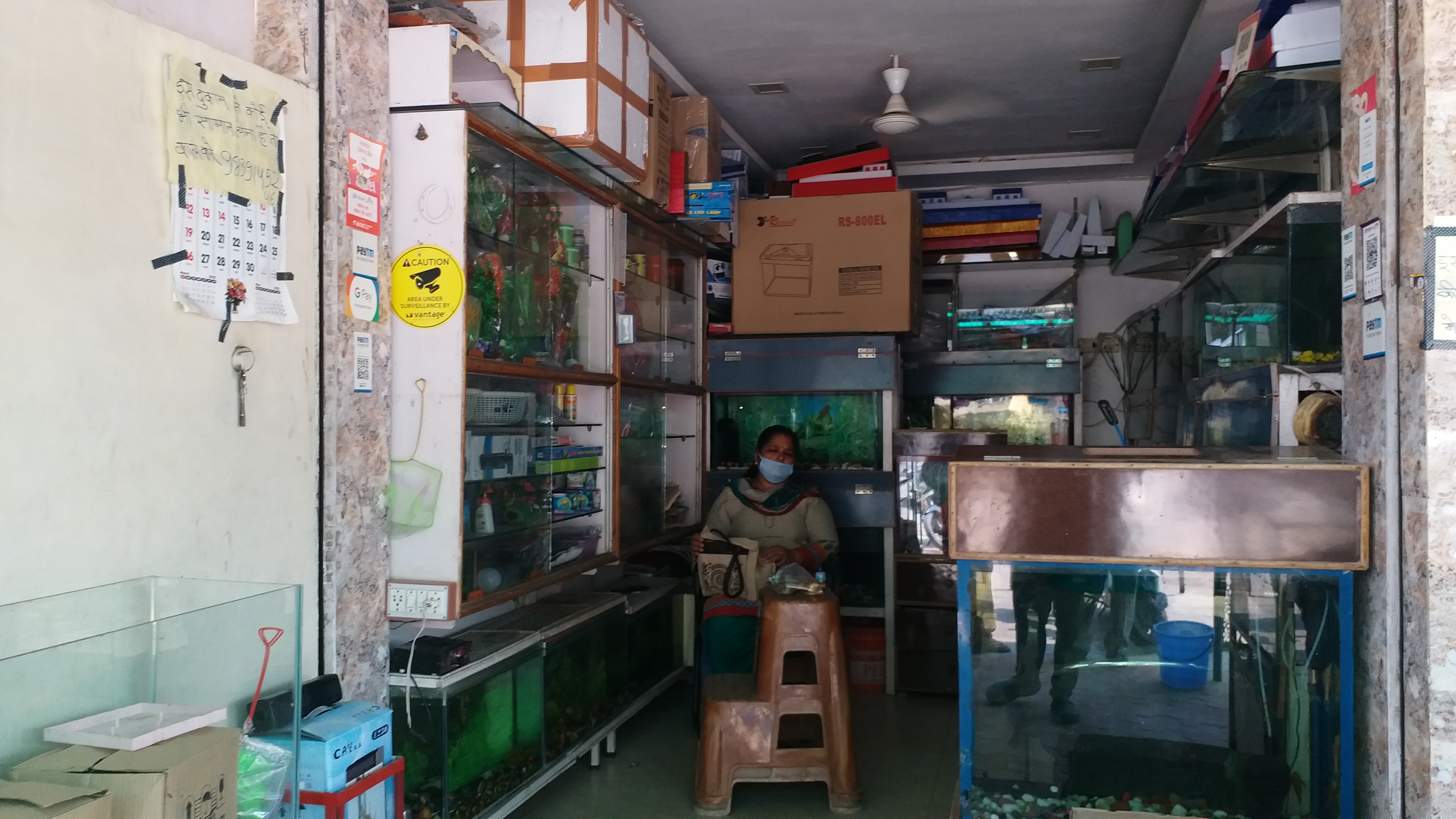 crisis on fish aquarium business during lockdown in varanasi