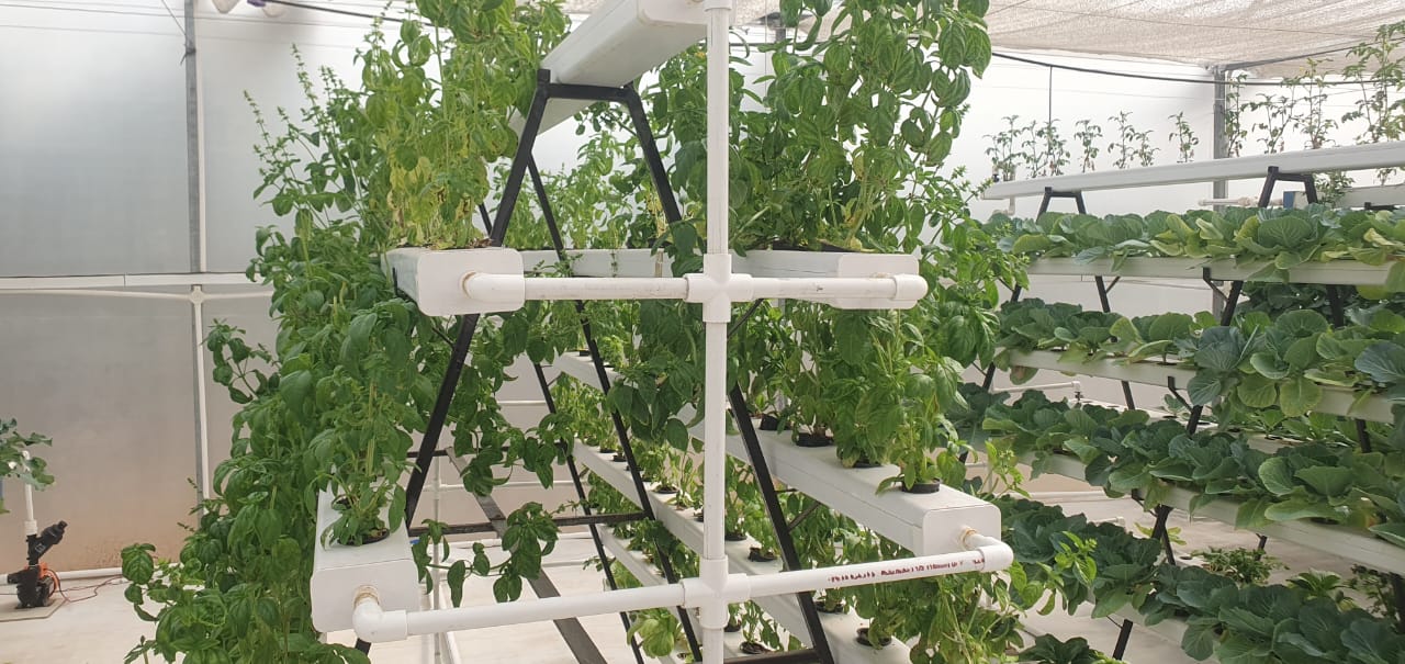 Hydroponics Technique for Farming