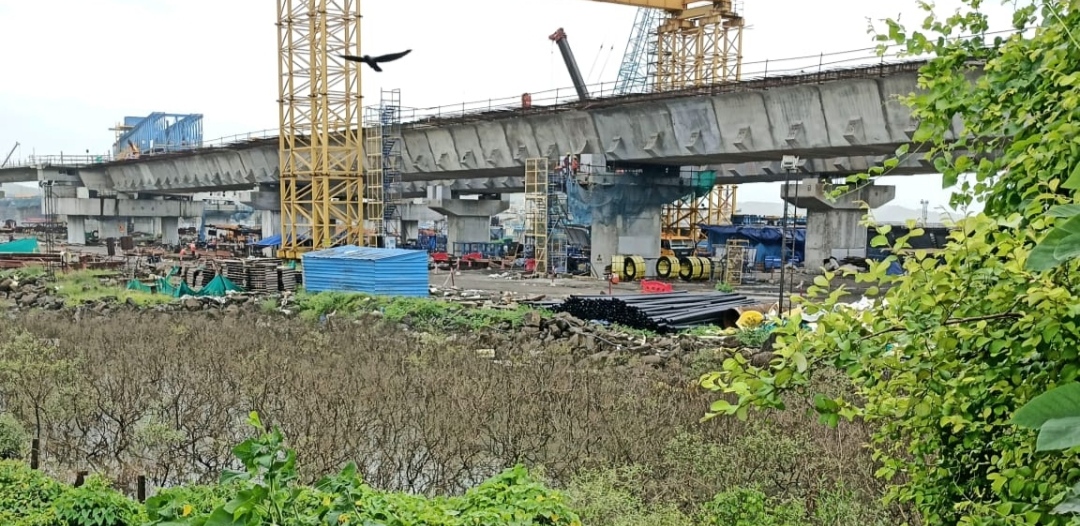 Trans Harbor Link Project