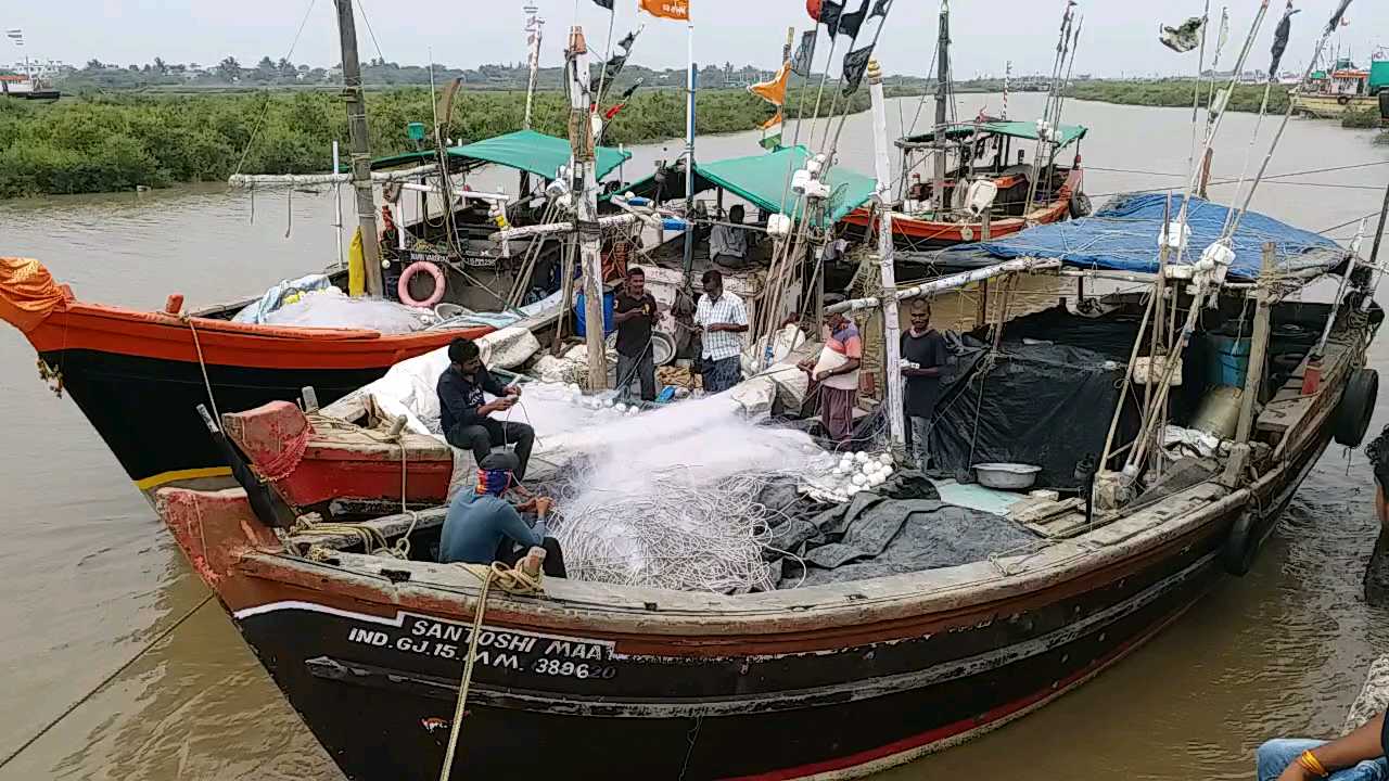 Cyclone Tauktae Effect in Five states