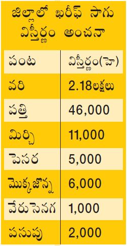 సాగు అంచనా