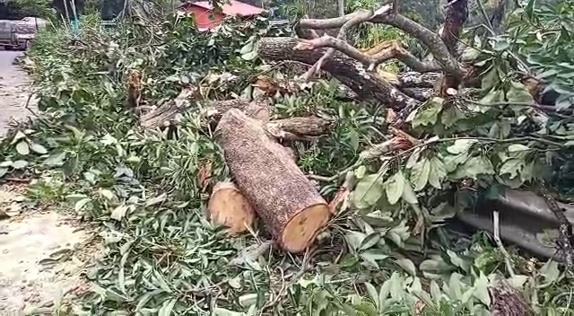 nilgiris aftermath floods people suffers with damaged shelters and having no foods.