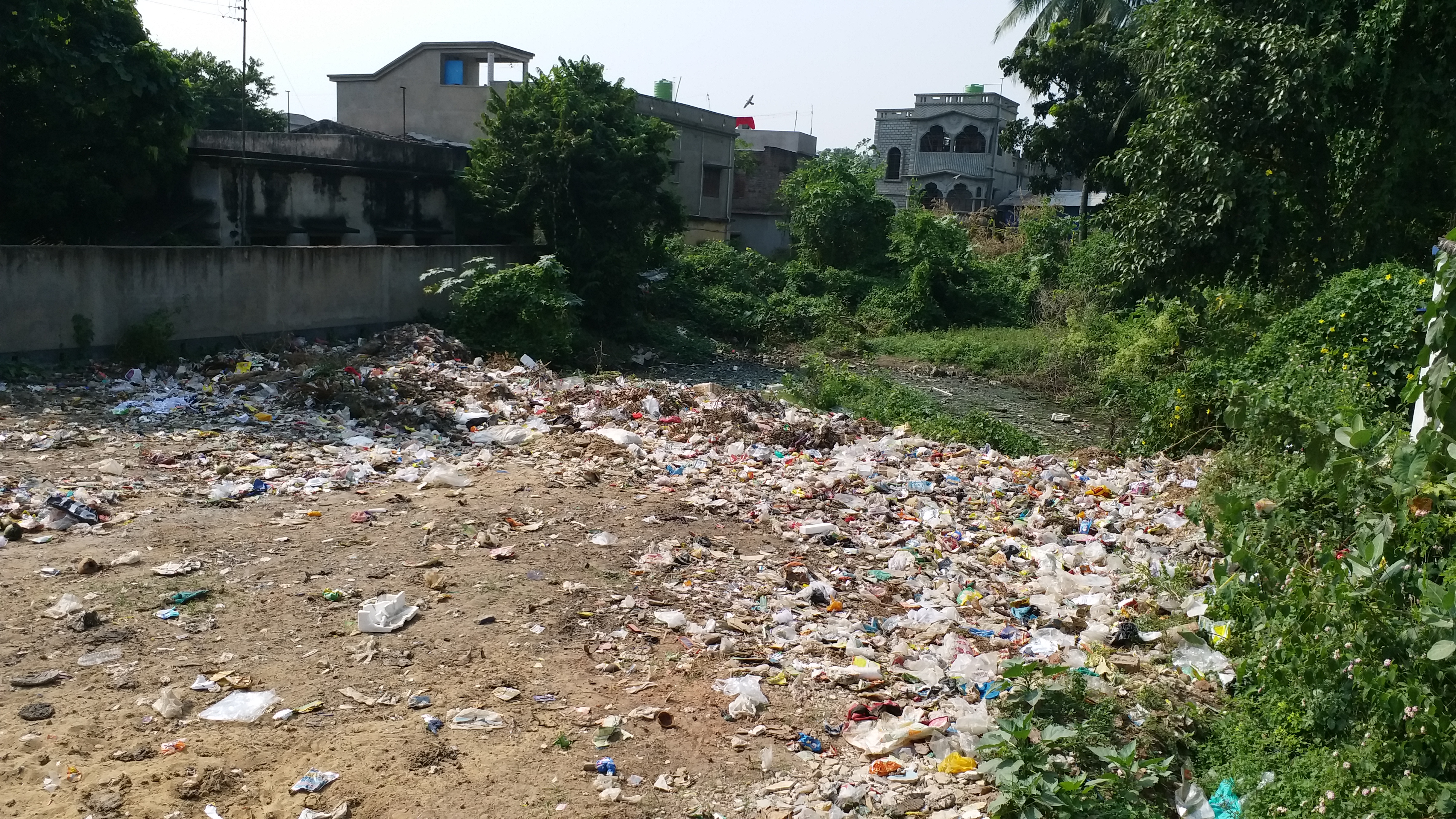 বোলপুর পৌরসভার 8 নম্বর ওয়ার্ডের নতুন পুকুর এলাকায় রয়েছে এই পুকুর