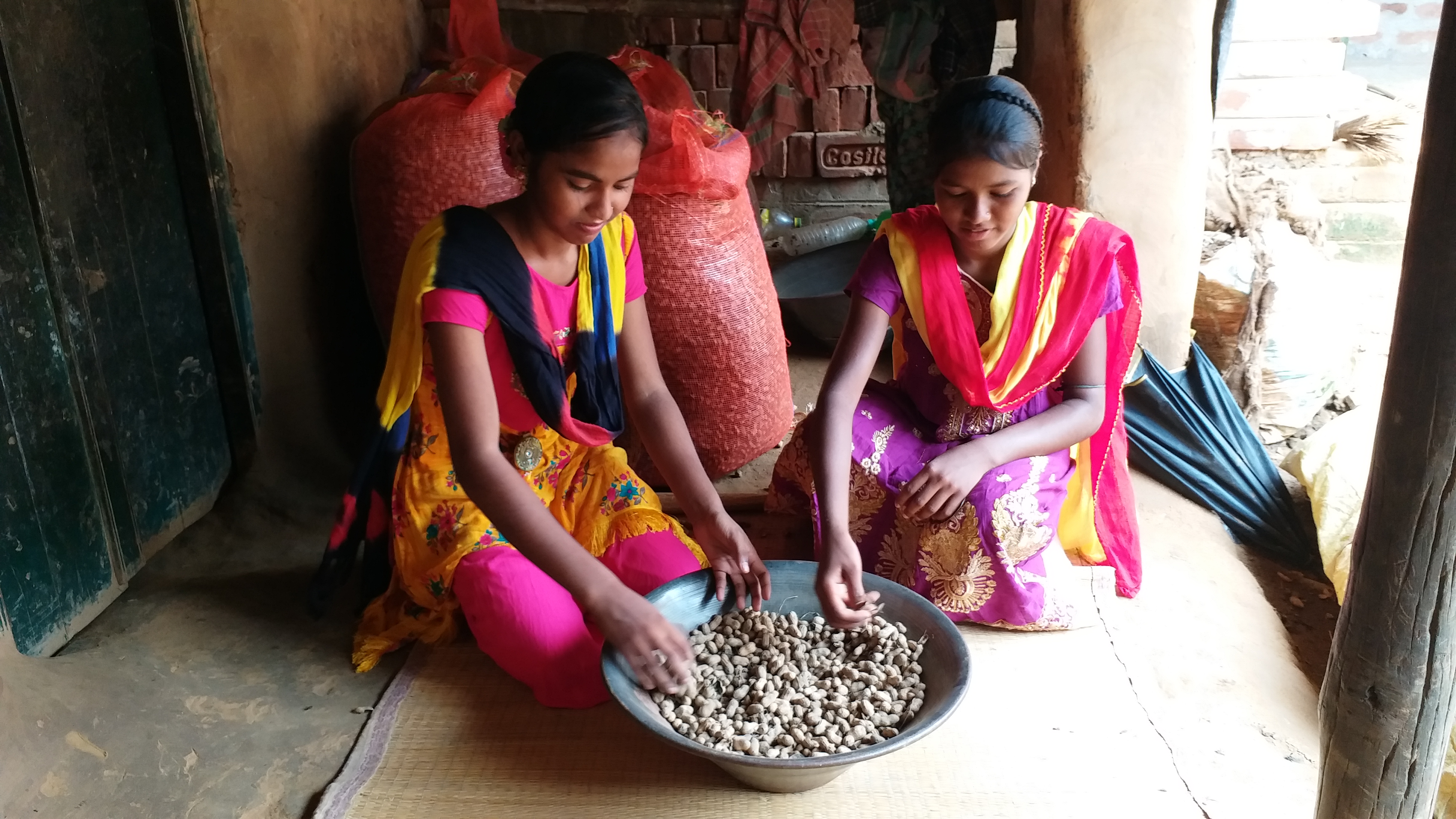 বাড়ির মেয়েরা বাদাম ছাড়ানোর কাজ করছেন