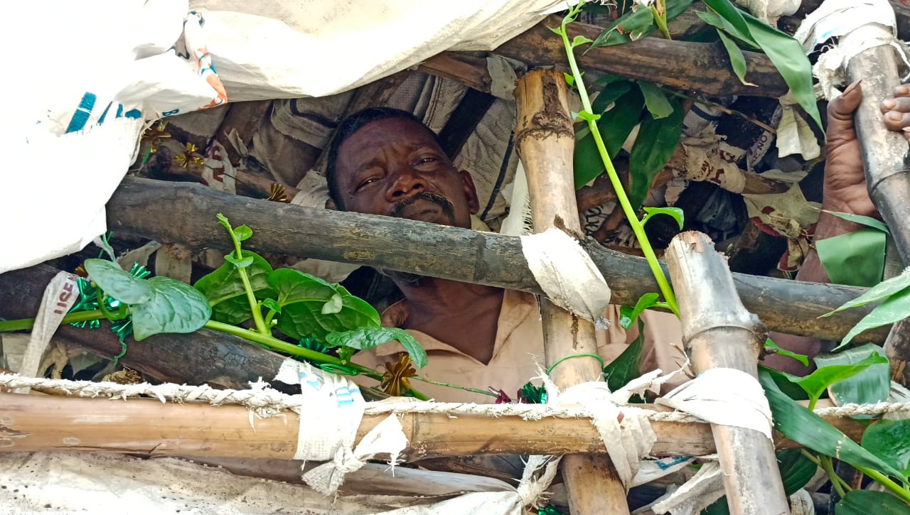 man lives in bamboo tree