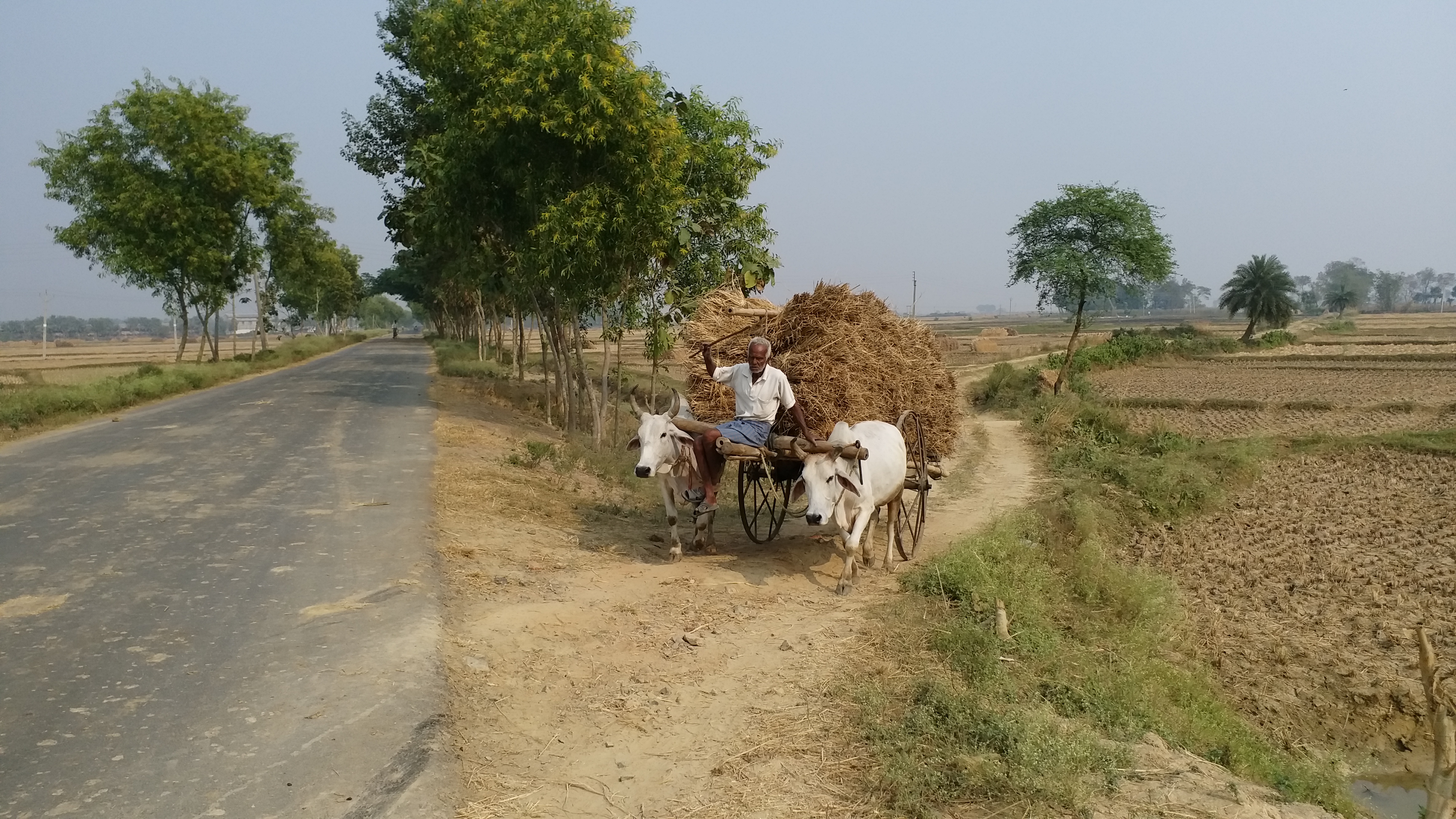 পশ্চিমবঙ্গ বিধানসভা নির্বাচন 2021