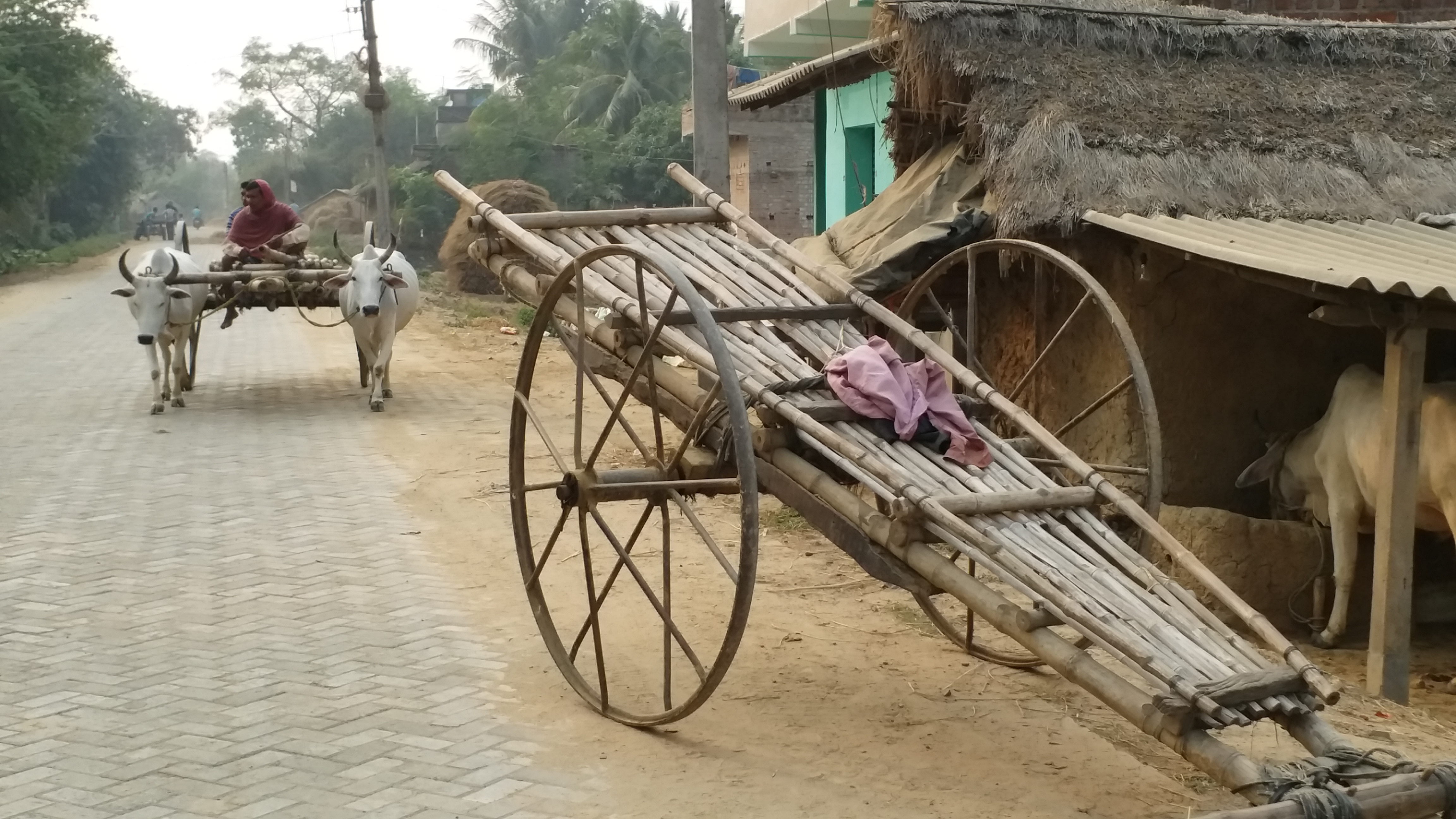 পশ্চিমবঙ্গ বিধানসভা নির্বাচন 2021