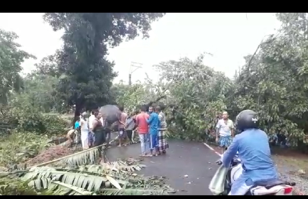 কয়েক মিনিটের ঝড়ে লণ্ডভণ্ড তুফানগঞ্জের দিপরপাড় এলাকা