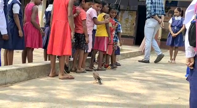 Wild Bird Friendship with a Child in a School in Kanksa of Paschim Bardhaman