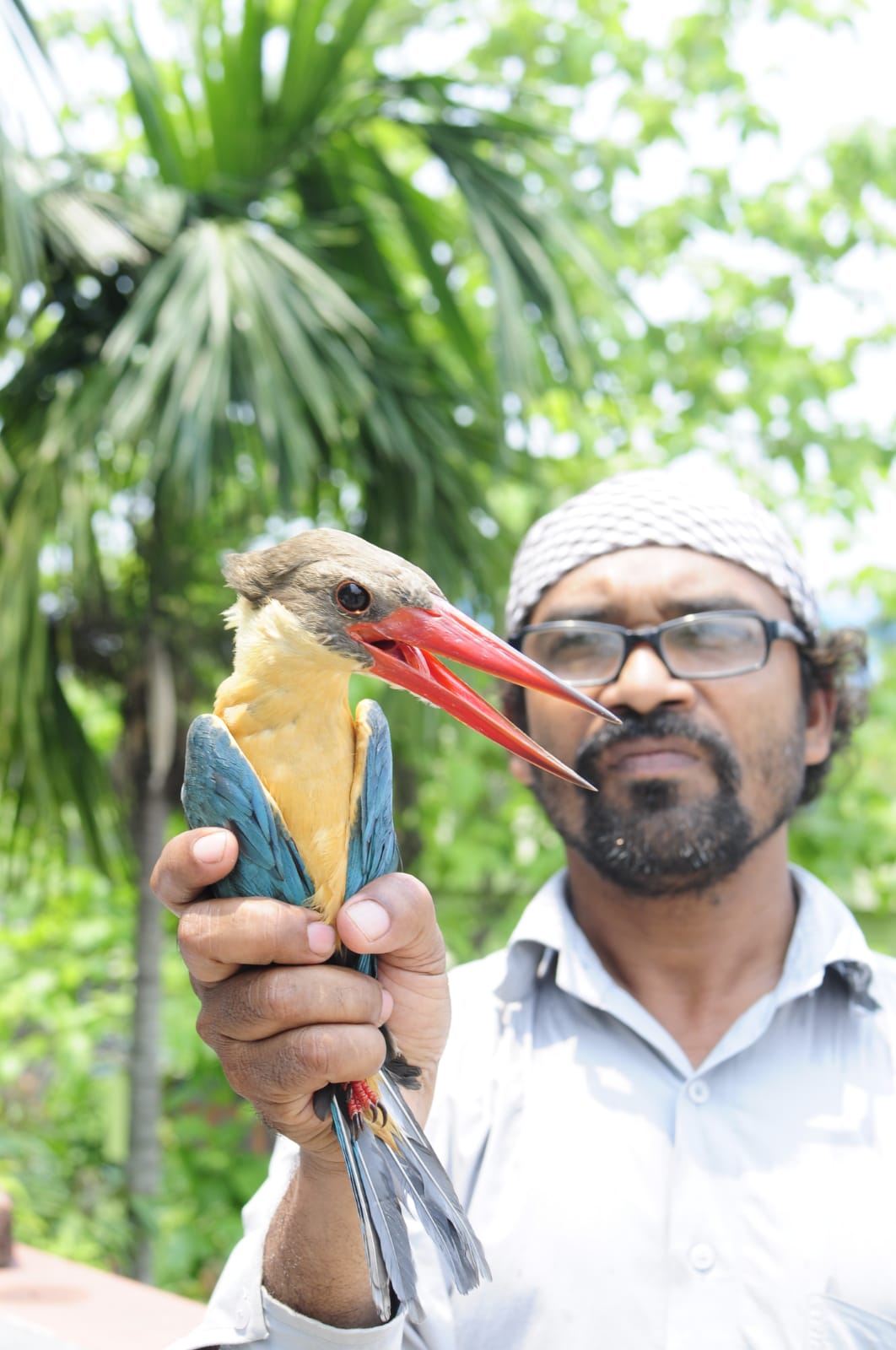 Animal lover helps to keep snakes alive as it is a part of ecosystem