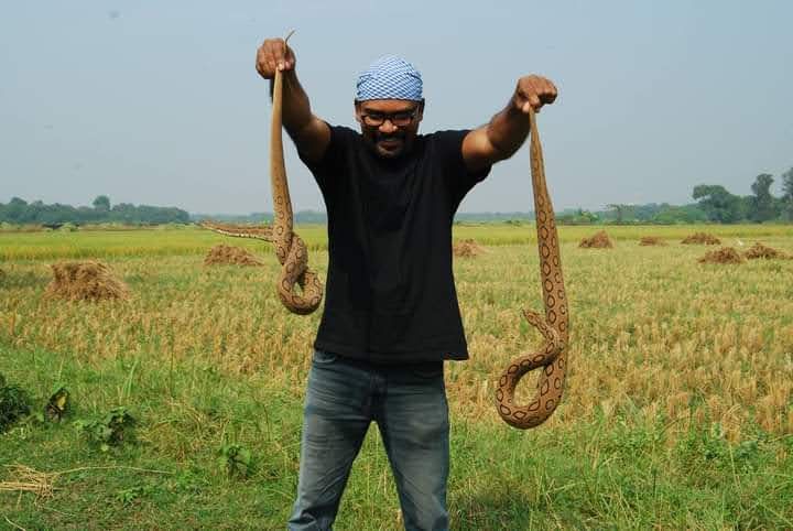 Animal lover helps to keep snakes alive as it is a part of ecosystem