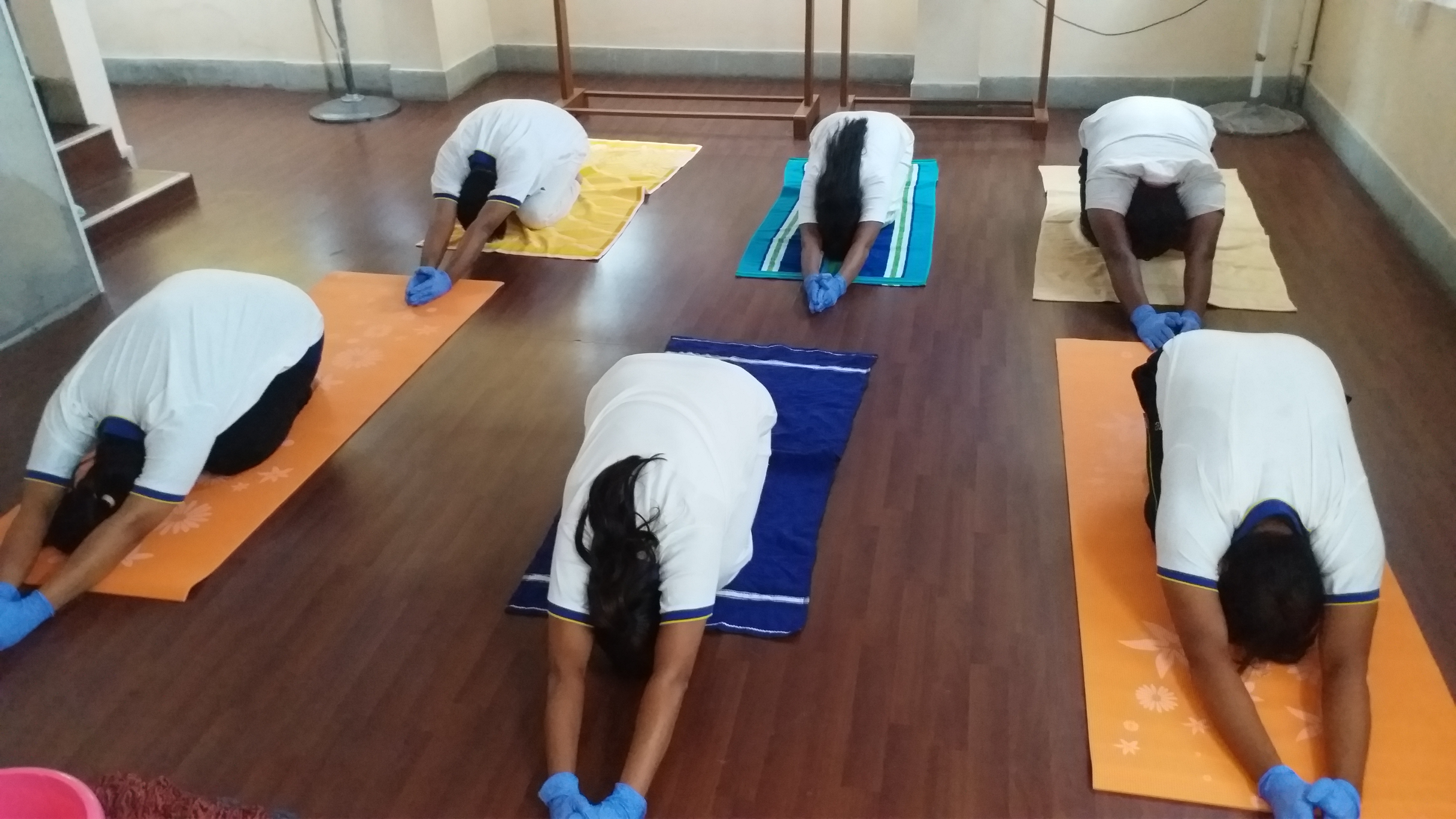 International Yoga Day