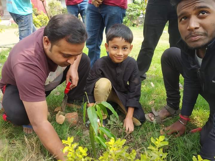 tree plantation