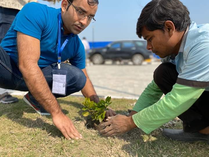 tree plantation