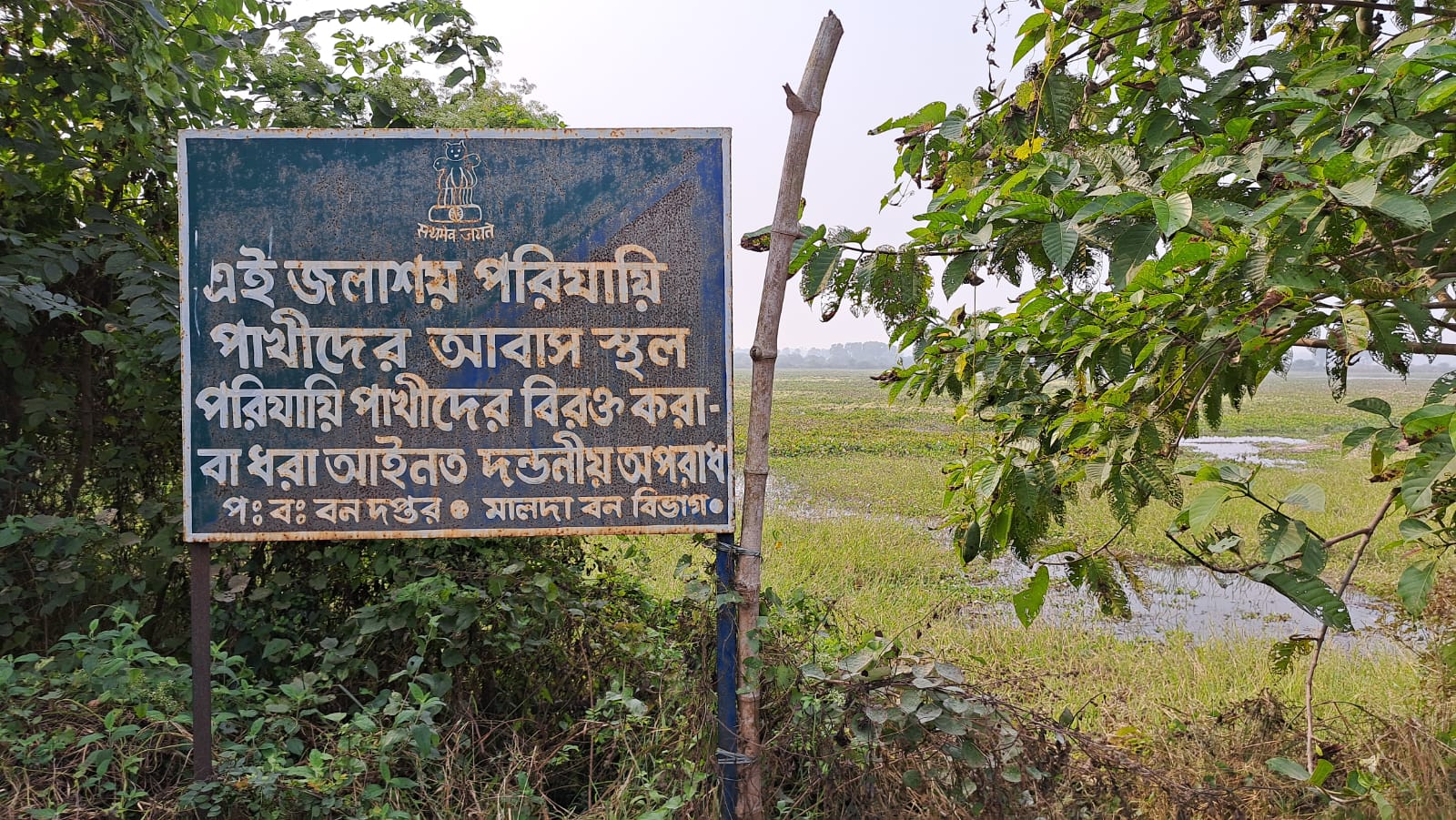 people want Bird Watching Tourism for development in a remote village of Malda