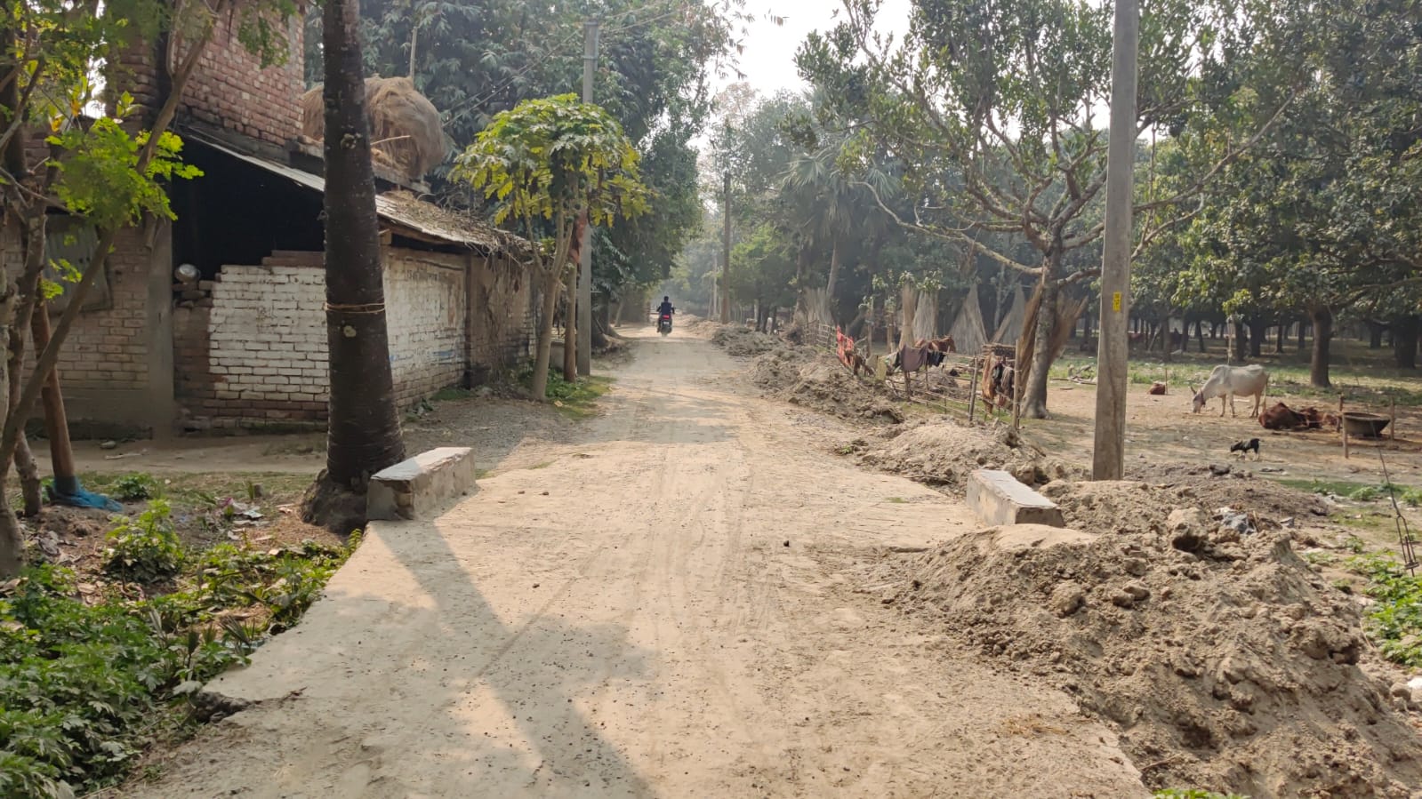 Malda Road Renovation Controversy