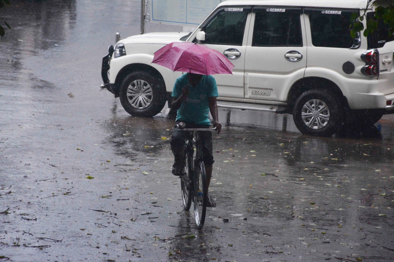 নিকাশি নালার অব্যবস্থা , যশের পর কী জলবন্দি থাকতে হবে ? ভাবছে মালদা শহরবাসী