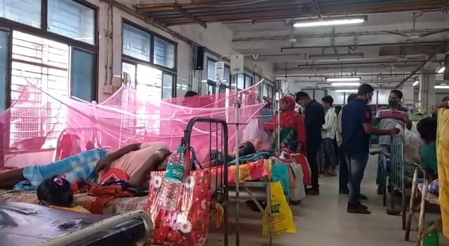 Dengue Situation in Malda