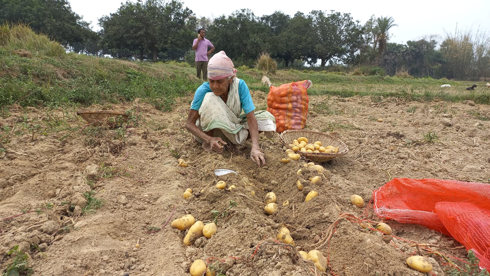 Farmers facing tough time