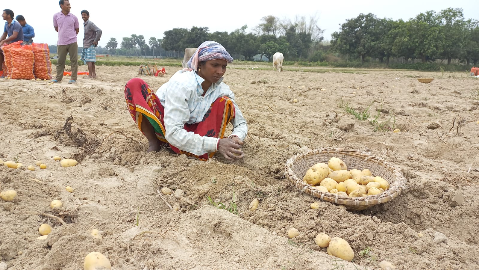 Farmers facing tough time