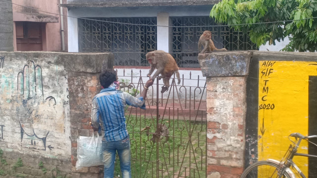 বানর-কুকরদের খাওয়ানোই কাজ তিলক দত্তের