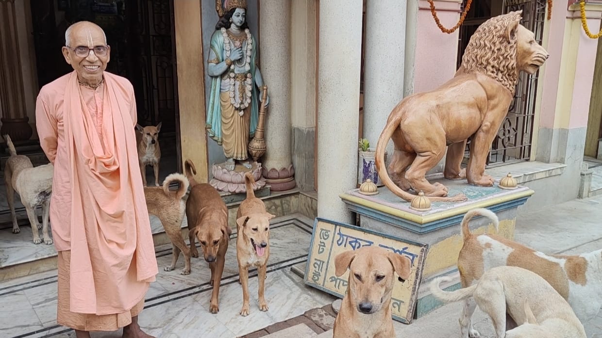 dog in Nabadwip Temple