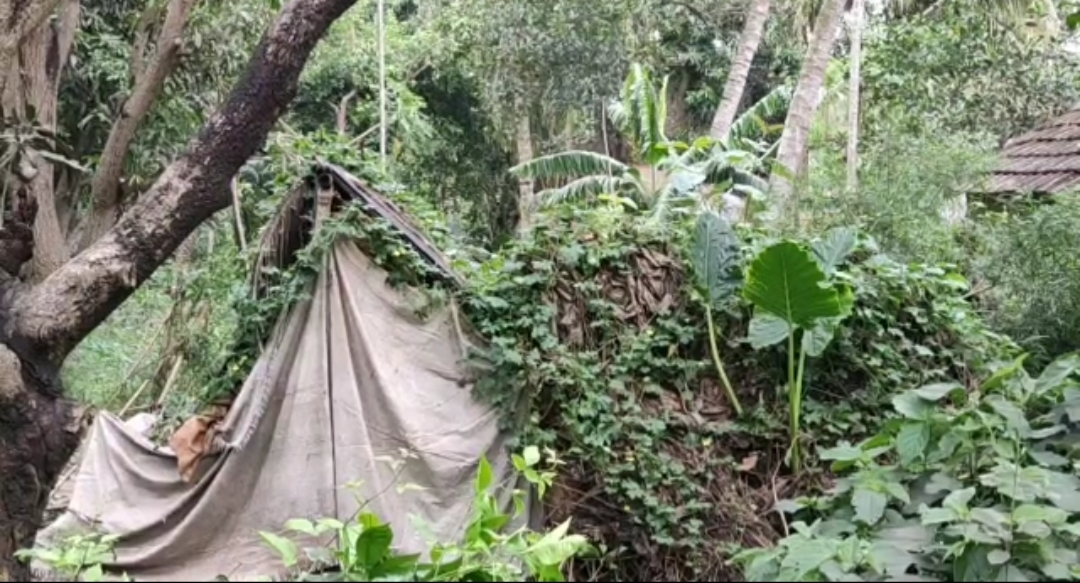 জঙ্গলের মধ্যে এভাবেই ত্রিপল খাটিয়ে থাকনে কার্তিক বিশ্বাস