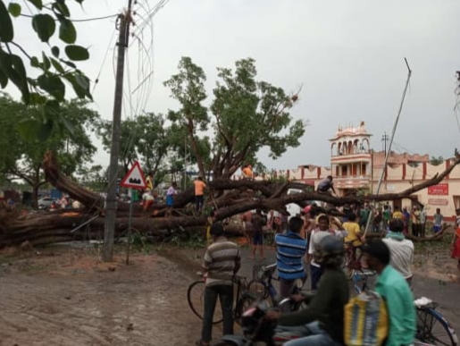 রাস্তায় ভেঙে পড়েছে বহু গাছ