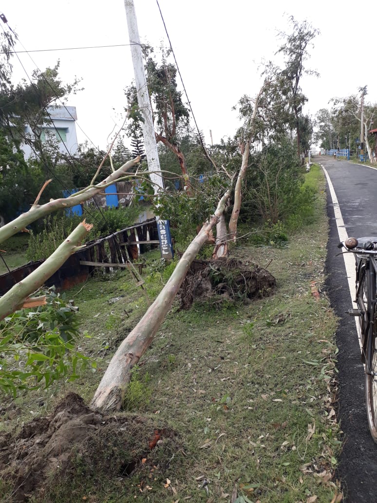 طوفان 'بلبل' سے متعدد افراد ہلاک