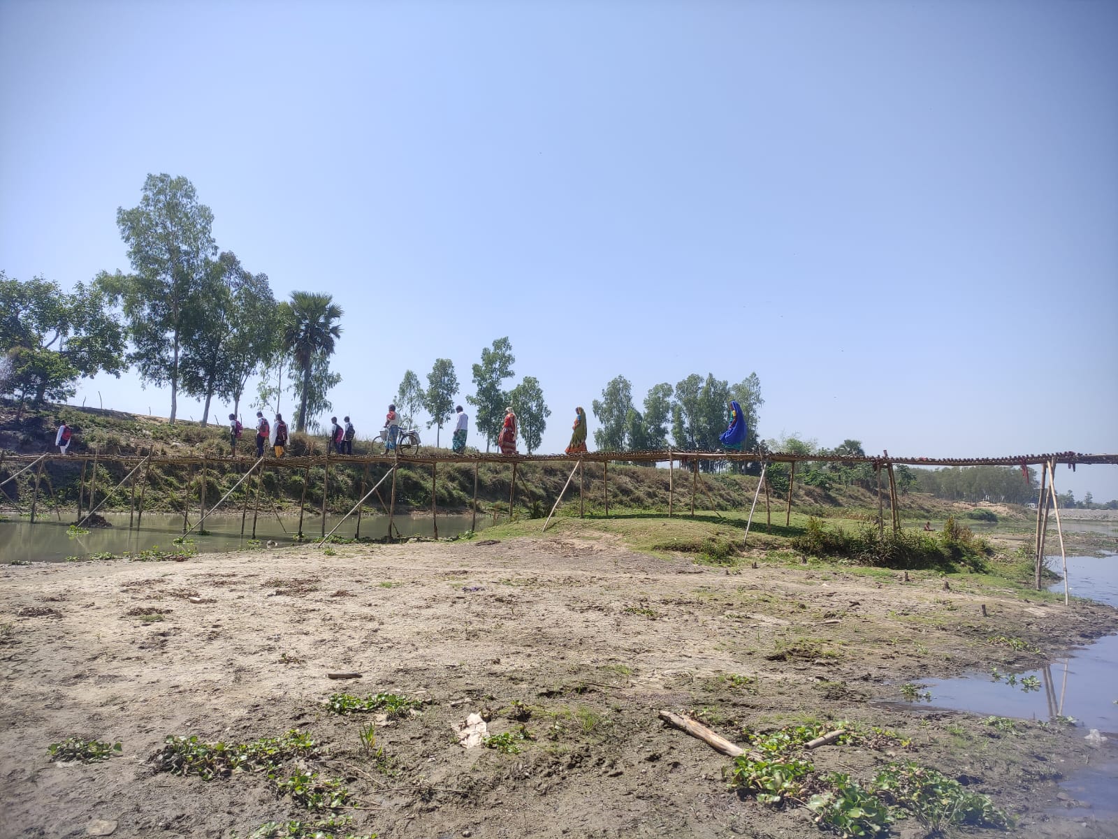 Bamboo Bridge