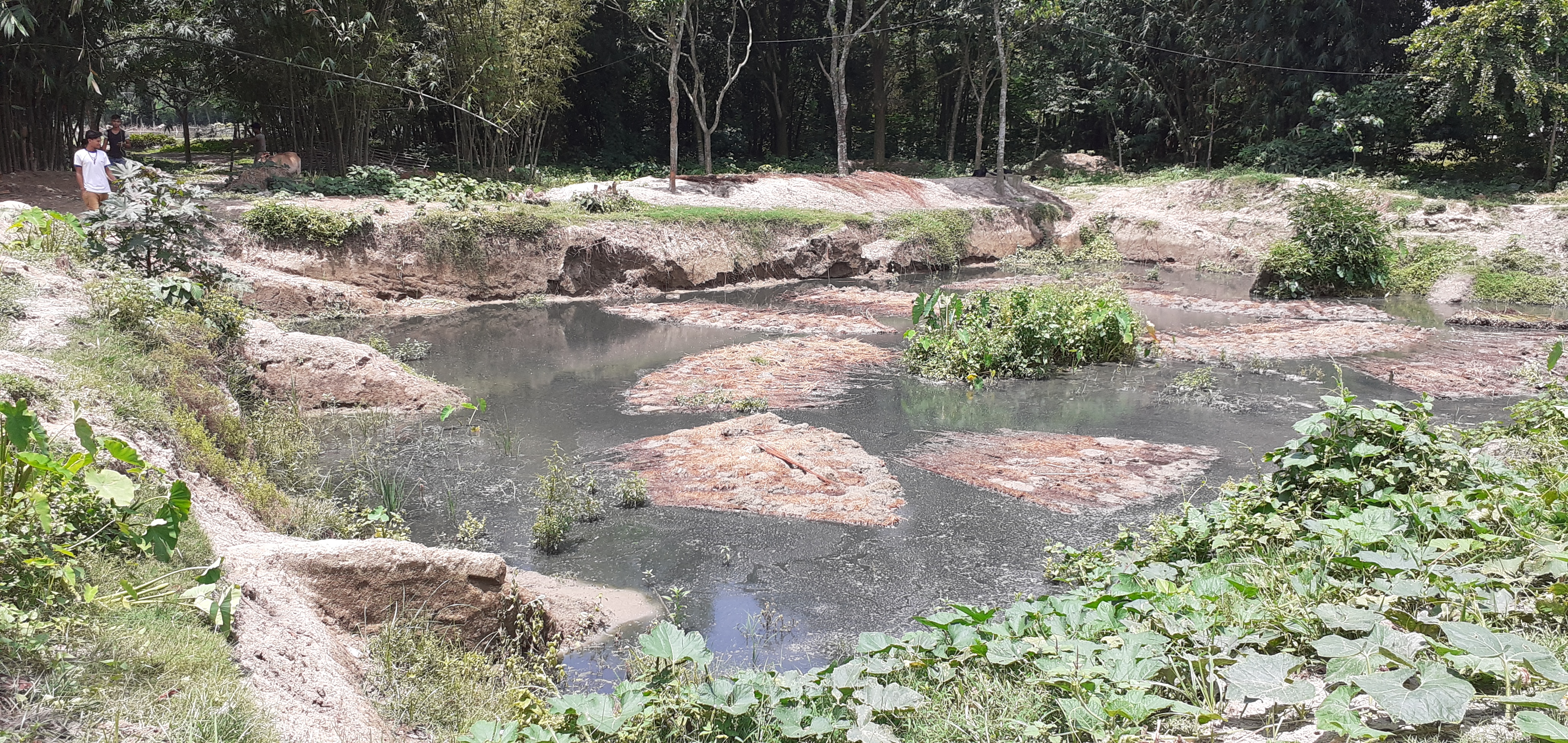 silver coin recovered, pond