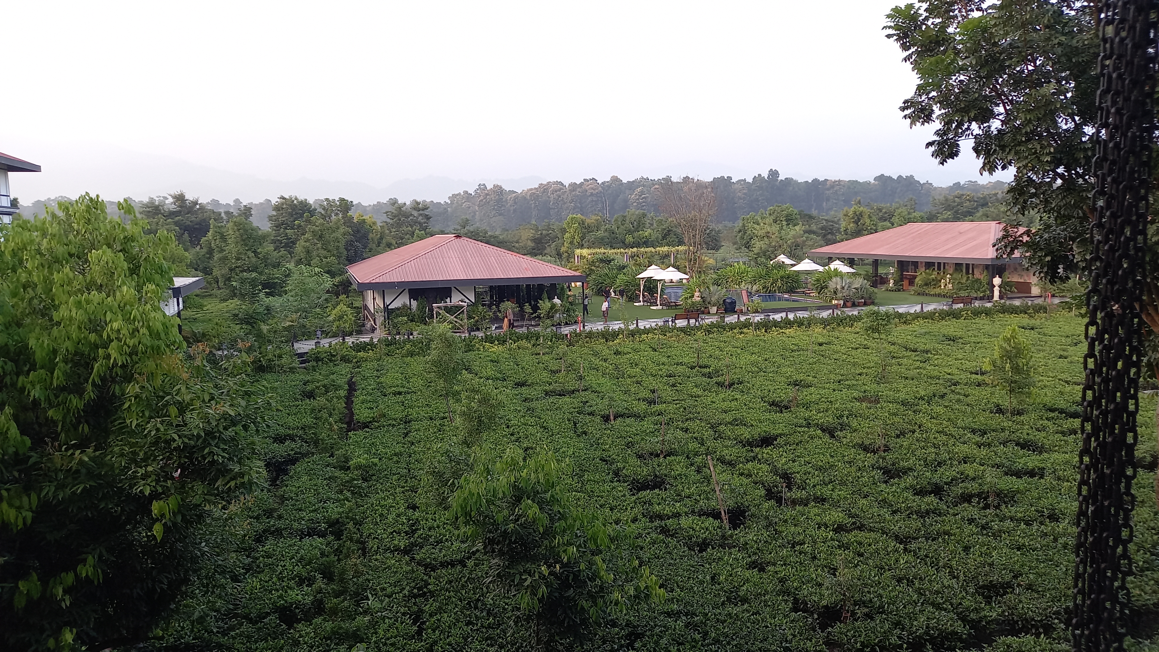 tea tourism resort in Siliguri