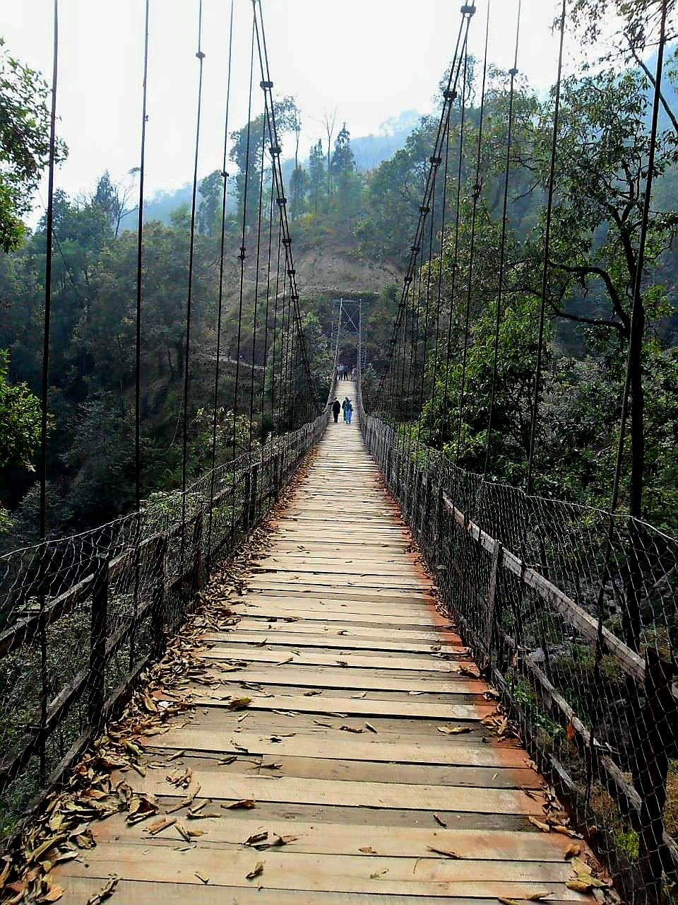 Barbotey Hanging Bridge ETV Bharat