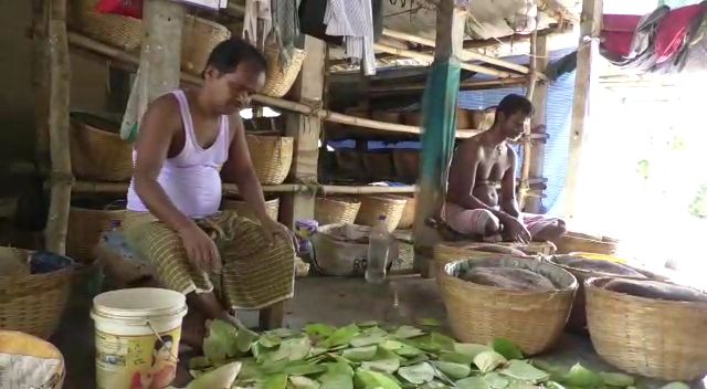 betel leaf