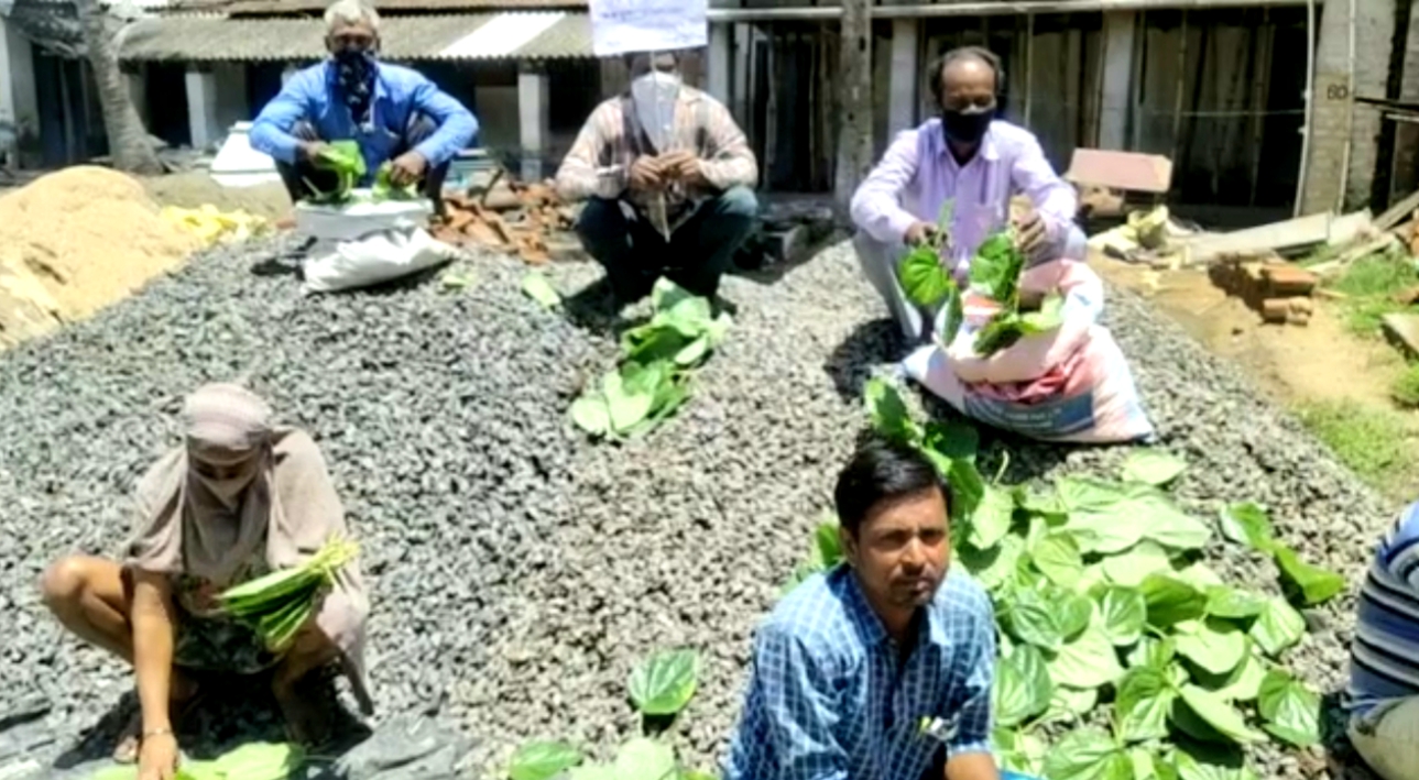 রাস্তায় পান পাতা ফেলে  বিক্ষোভ