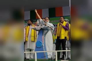 mamta banerjee