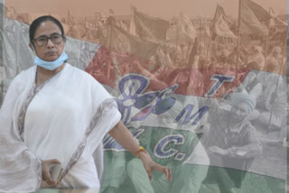 Mamta Banerjee