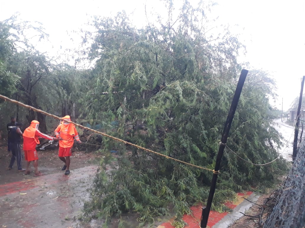 TauktaeCyclone in gujarat