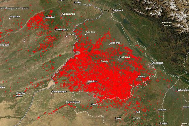 new cases of stubble burning in Punjab