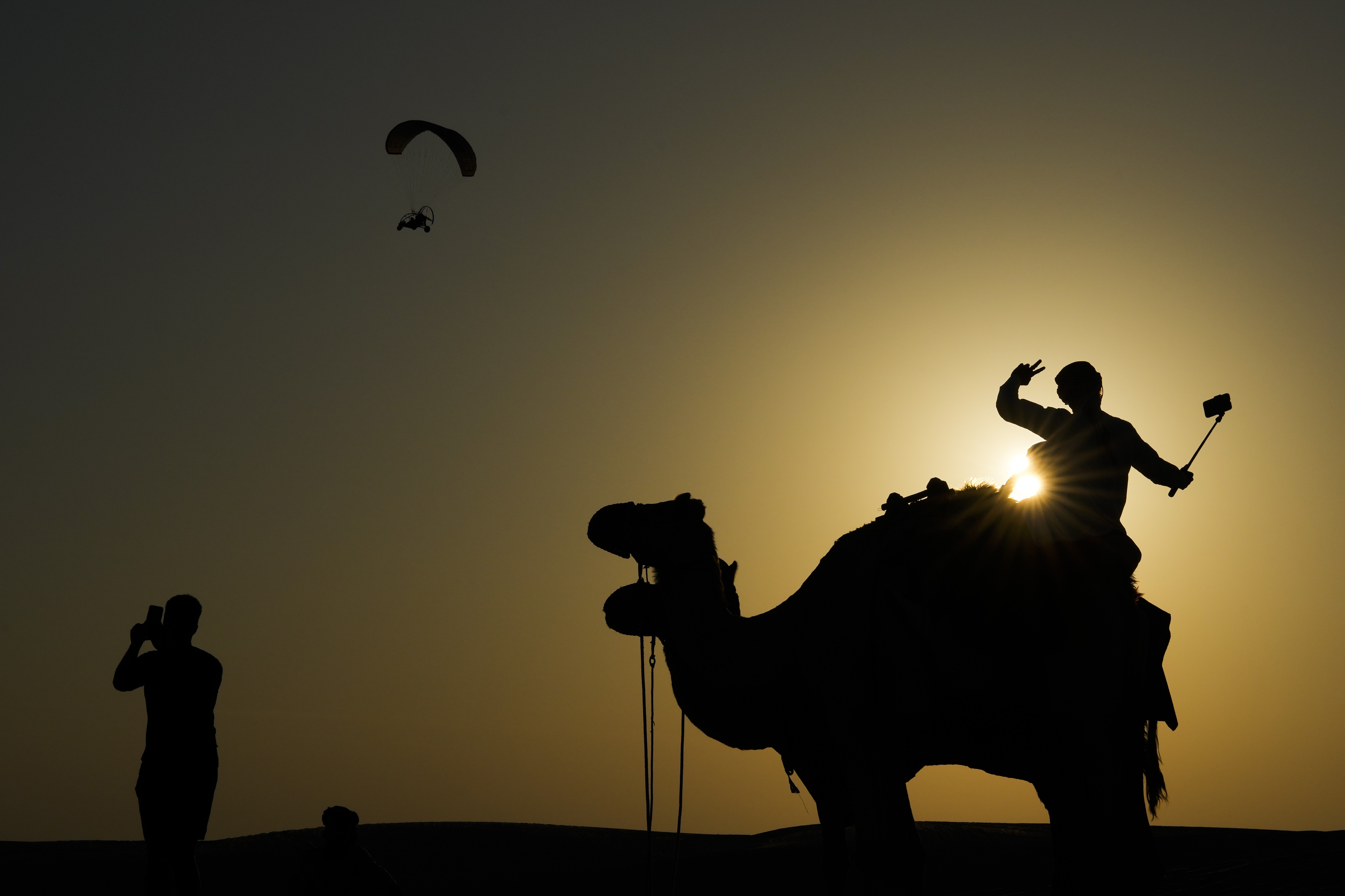 World Cup Frenzy Puts Strain on Qatars Camels